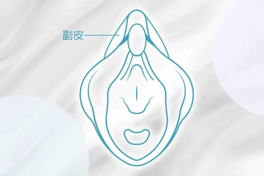 副皮の図解