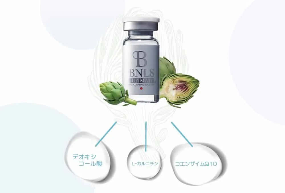 脂肪溶解注射BNLSの詳細