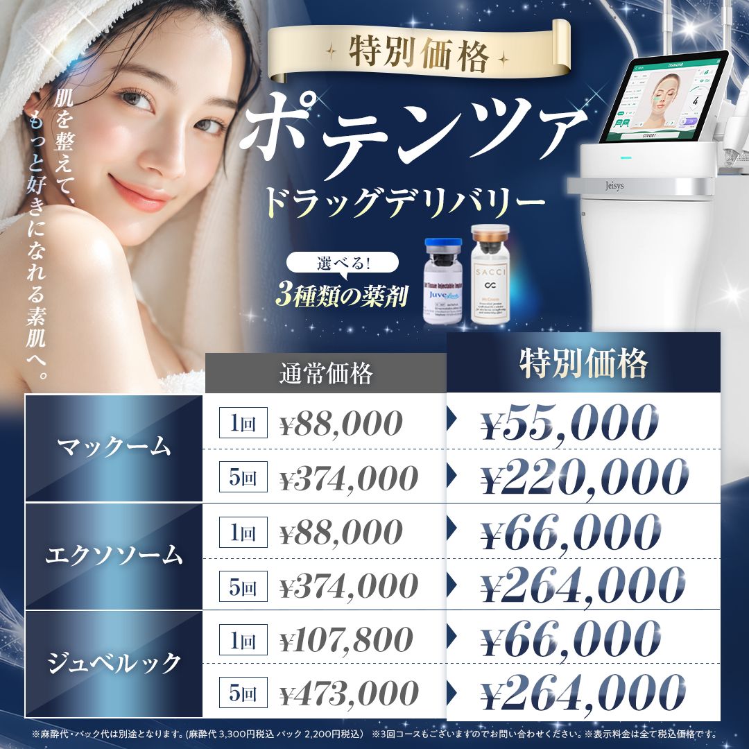 ポテンツァのバナー (1)